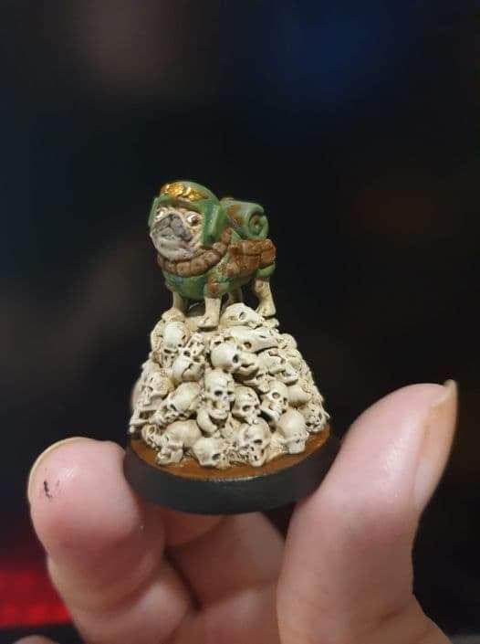 eMemkind's tweet photo. Pug of War https://t.co/gvAwLmZON5