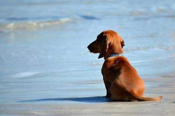 anngellce's tweet photo. Eu vendo todo mundo se divertindo e eu em casa tendo uma crise existencial https://t.co/ZXjGjMajmH