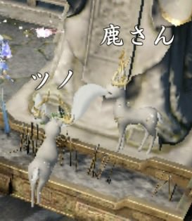 bearbear_M_'s tweet photo. いい勝負だと思うんです...!!!
でも私はペンギンに『ぺんぺん』って付けるくらいだからダメかも_(　_-ω-`)_ https://t.co/4ZaYpnAQGA