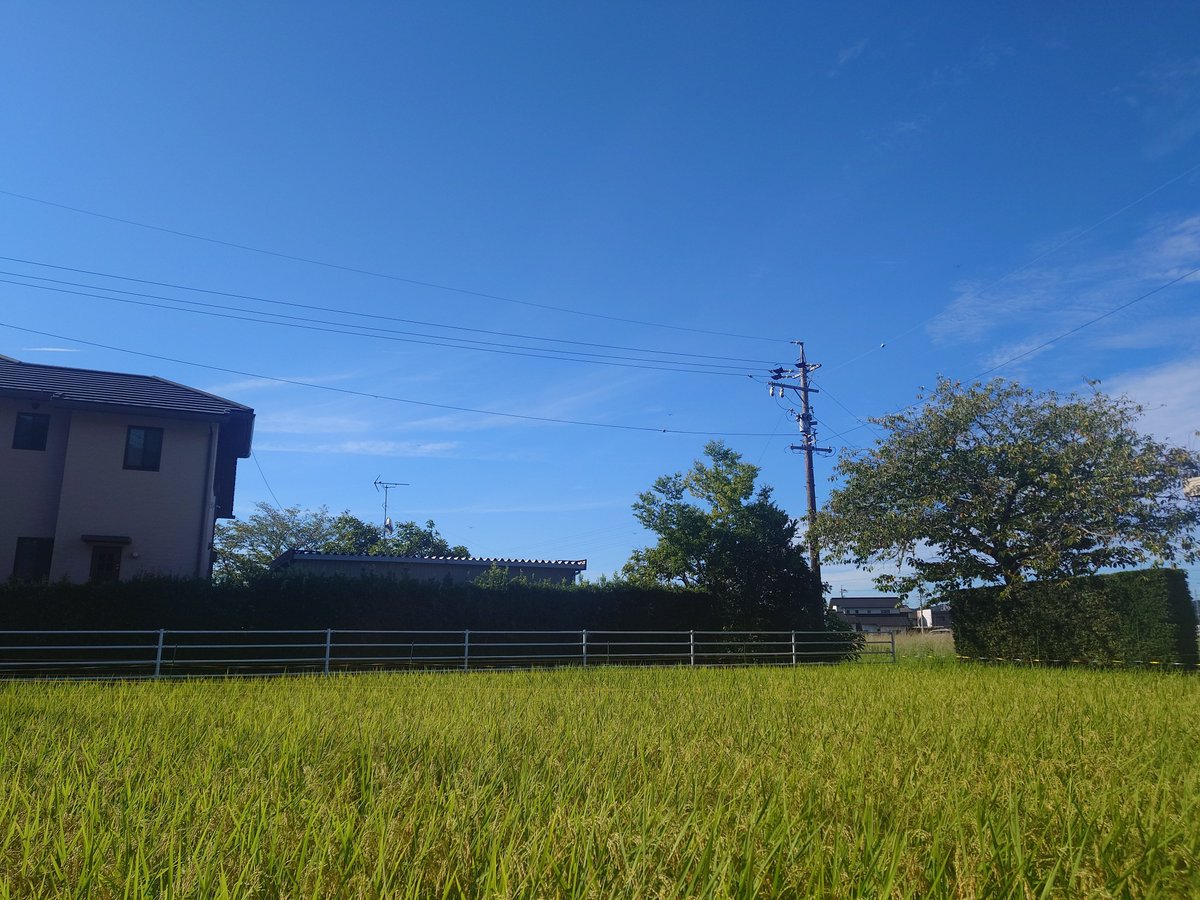 gin_net_'s tweet photo. 夏休み最後の宴、楽しかったな〜
来週もよろしくな🙋 https://t.co/zGug3fCGVi