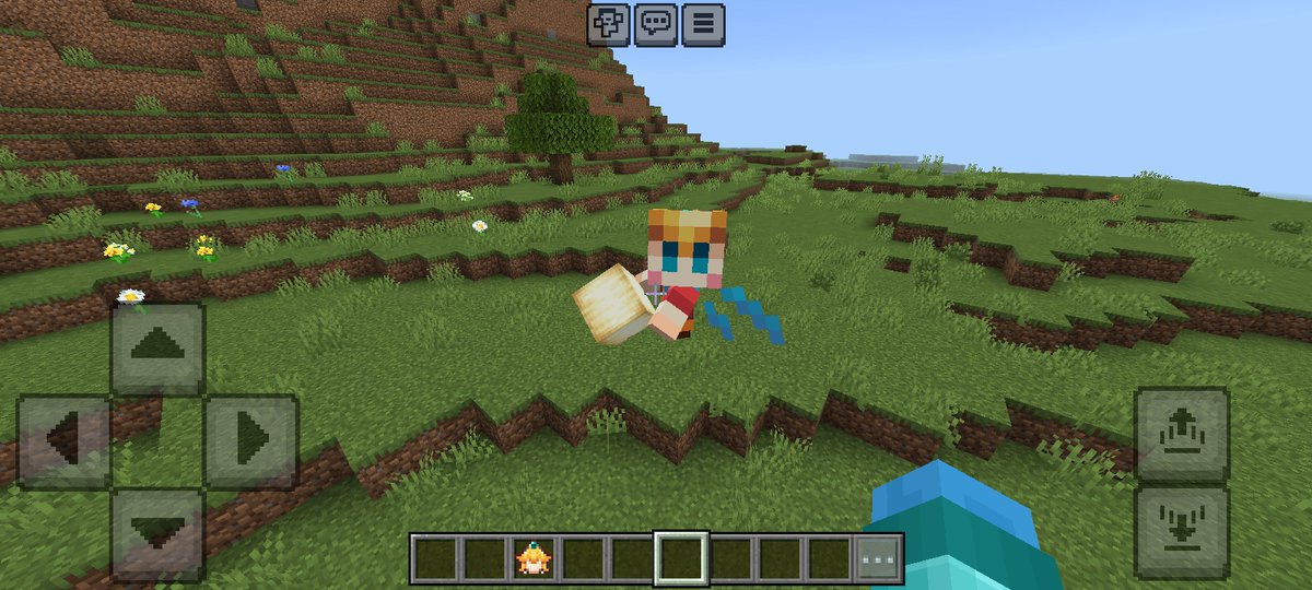 LuisFerNicols1's tweet photo. Cosas qué he agregado:
•Agregue más cuadros y otros 2 diseños para las   camas,

•acabé la armadura completa y agregue a la pequeña princesa como totem, 

•remplaze las remolachas para que fueran los pimientos y hice qué el allay fuera la pequeña princesa. https://t.co/mur6jw2kbC