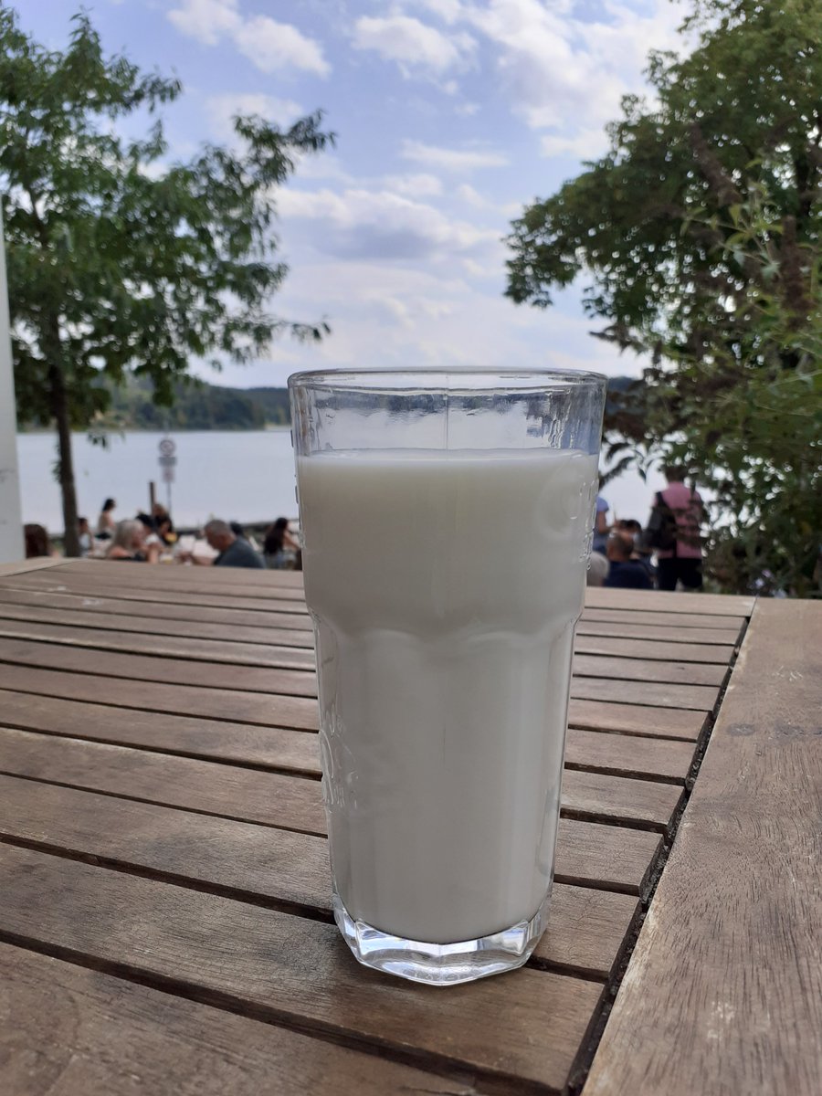 RauhVolker's tweet photo. Kalte Milch, supergut 🌞🌞🌞am Untreusee 🌞 https://t.co/pdcFJCZ3lb