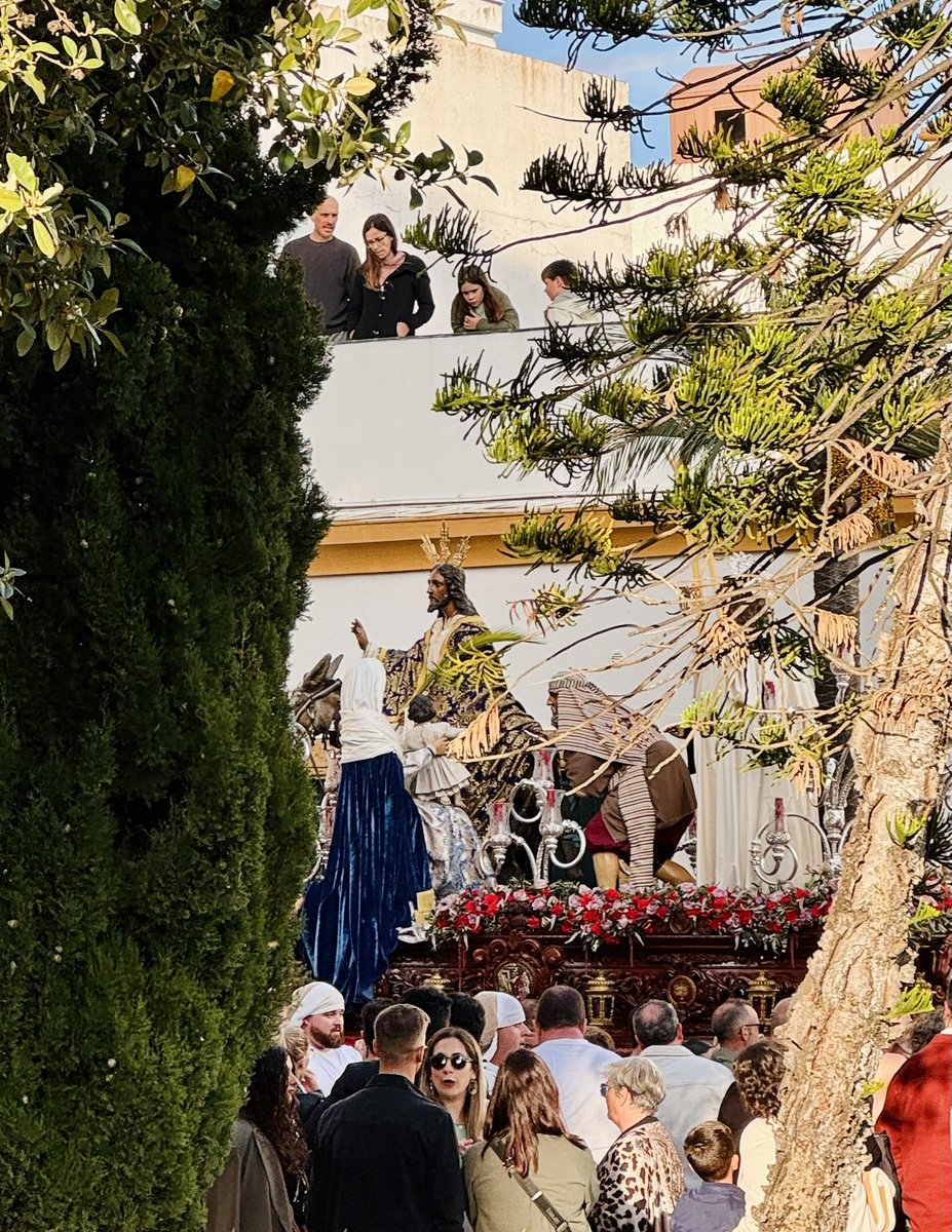 borriquitapreal's tweet photo. #𝑫𝑶𝑴𝑰𝑵𝑮𝑶𝑫𝑬𝑳𝑺𝑬𝑵̃𝑶𝑹 | Evangelio (Mt 15, 21-28) — «Mujer, qué grande es tu fe».

Os compartimos una fotografía de nuestro titular a su paso por la Plaza De la Iglesia en la tarde del Domingo de Ramos de 2025. https://t.co/XaG9Y2Pola