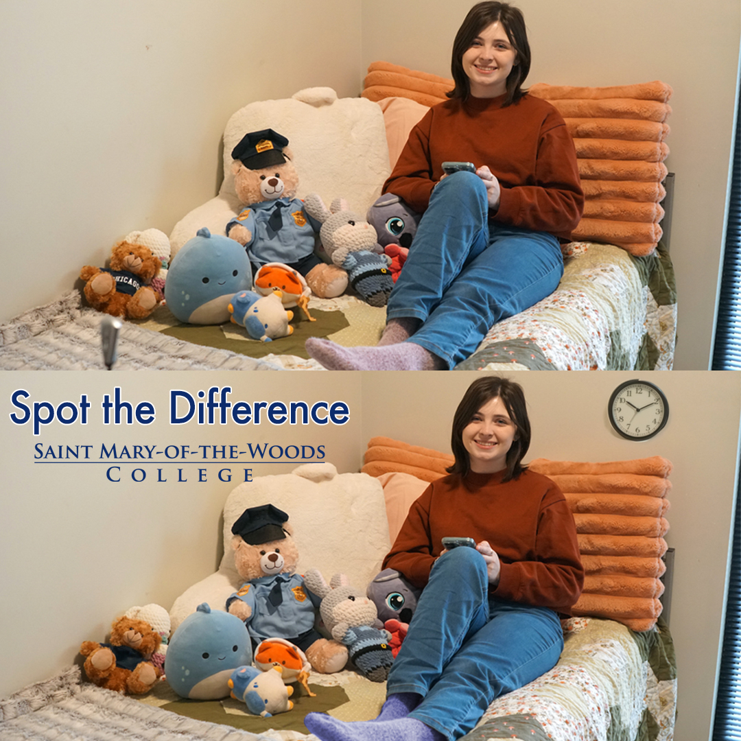 smwc's tweet photo. It's time to spot the difference! Can you find all five differences between the two photos? https://t.co/wEnOOAsRej