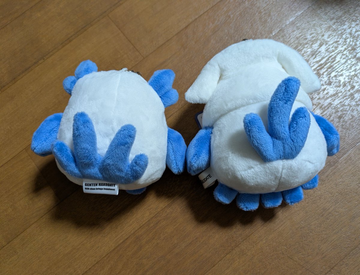 ytpon10's tweet photo. 気持ちがモヤモヤしてたから、GENちゃんといかGENちゃんに癒されてたら、尻尾?の数が違う事に気づいたｰｰ😮❣️ https://t.co/lcCblSLLOv