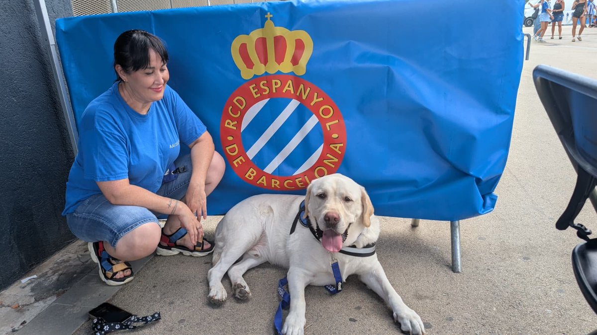 AASDiscan's tweet photo. Ja estem pericada 🙋🏻‍♀️

Benvinguda temporada 🙌🏼🐾

#rcde #fanzonercde https://t.co/mBN2zc2yWG