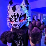 Photo by spatterlight (@spatterlight)