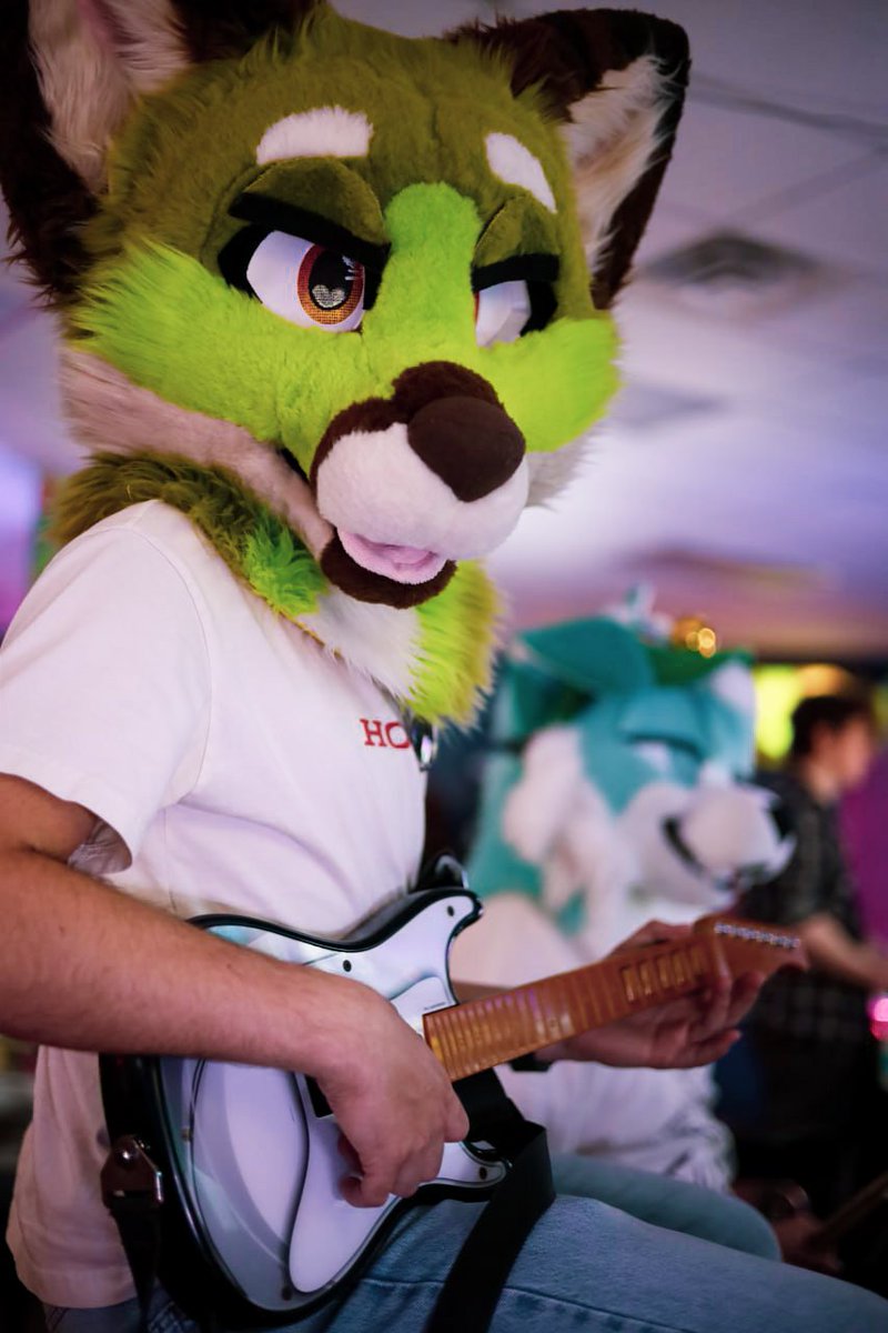 WaffleBarks's tweet photo. Not quite my tempo... 🦊🎸

📸: @strawberrydoqs https://t.co/gRDU5VHnZM