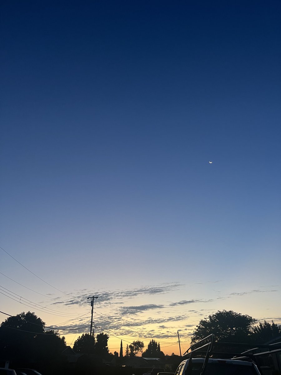 HollowMils's tweet photo. 🌙 https://t.co/xBMNbStX9v