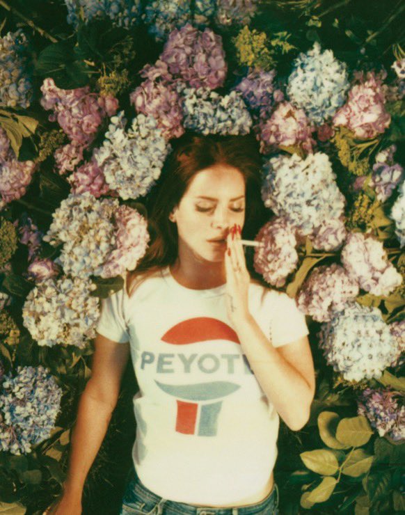 greatestptl's tweet photo. The Ultraviolence photo shoot made by Neil Krug  and Lana Del Rey is truly one of the best from very era. It was their first collab and yet remains as the most professional one and marked such an unexpected shift in Lana's whole career as artist. https://t.co/GLZ9uwsrx8