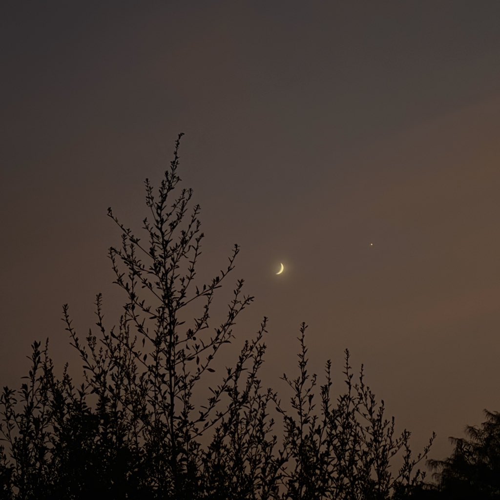 zeeaurav's tweet photo. a quiet moon, a softer evening https://t.co/9D8o4iSSnO
