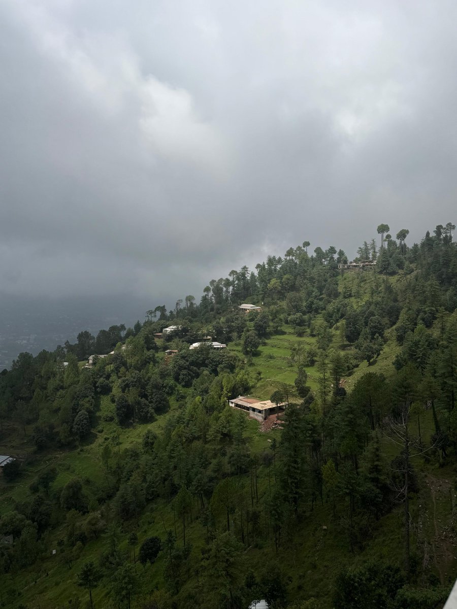 leoaryees's tweet photo. So serene 
#murree https://t.co/RDJNpc9ClF