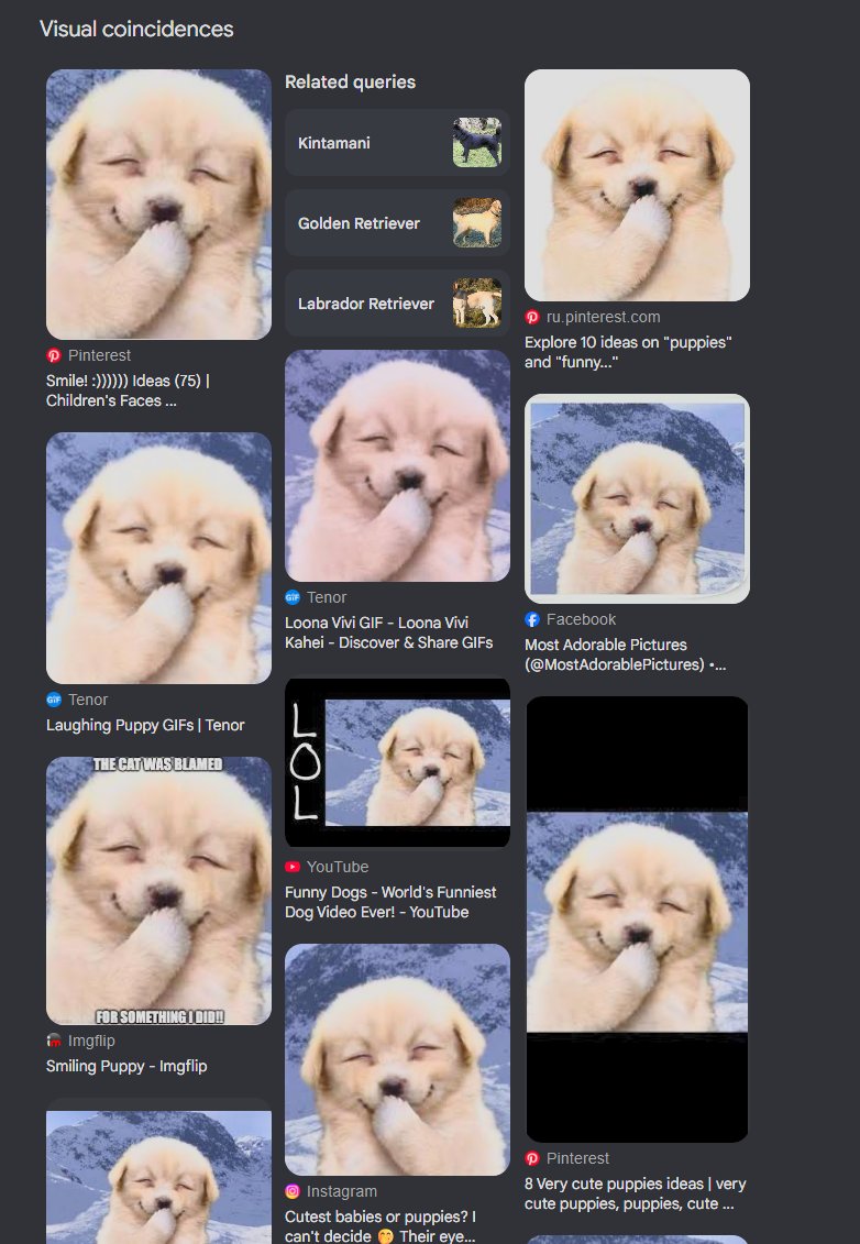 reginlos's tweet photo. whats the point of sending derivs?

on solana we have always just sent memes.
and there is a giggle dog meme. check the amount of sources.

tenor: https://t.co/gXuhQWWFdu https://t.co/cGhFlzTMho