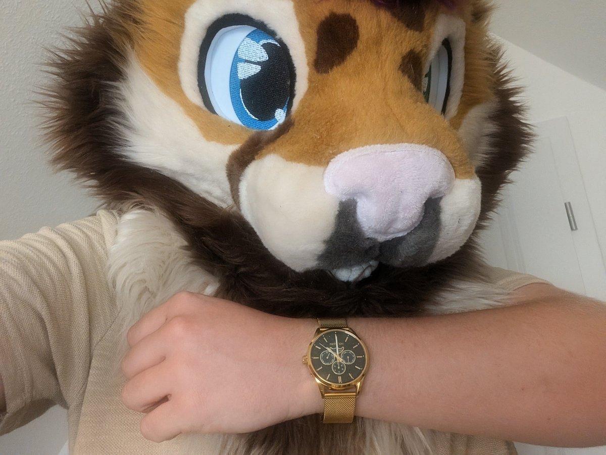 KaydenTheSnep's tweet photo. Kitty finally got a watch :3 

Its Soo fancy https://t.co/aShNBObl1M