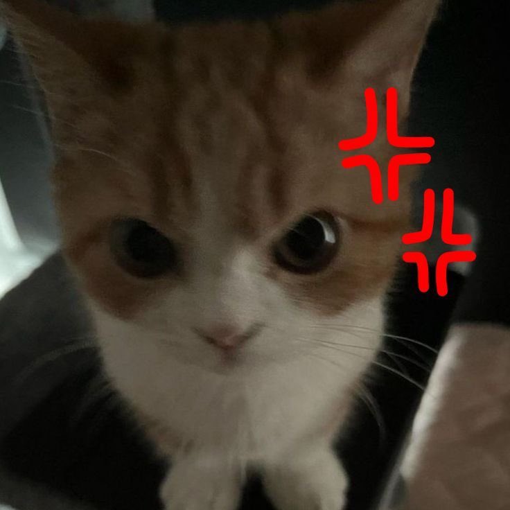babyleeknow_'s tweet photo. https://t.co/J4Eu6NCqVY