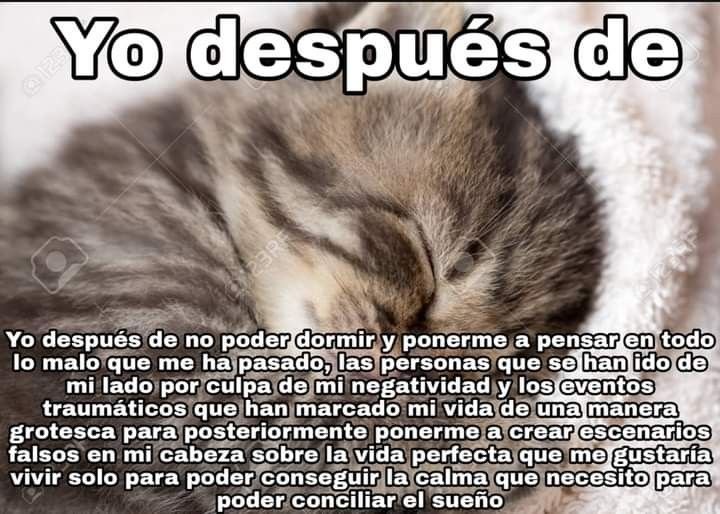 Miwut_ouo's tweet photo. #Proyectadas #Decuidado https://t.co/WTJPYA0Aqf