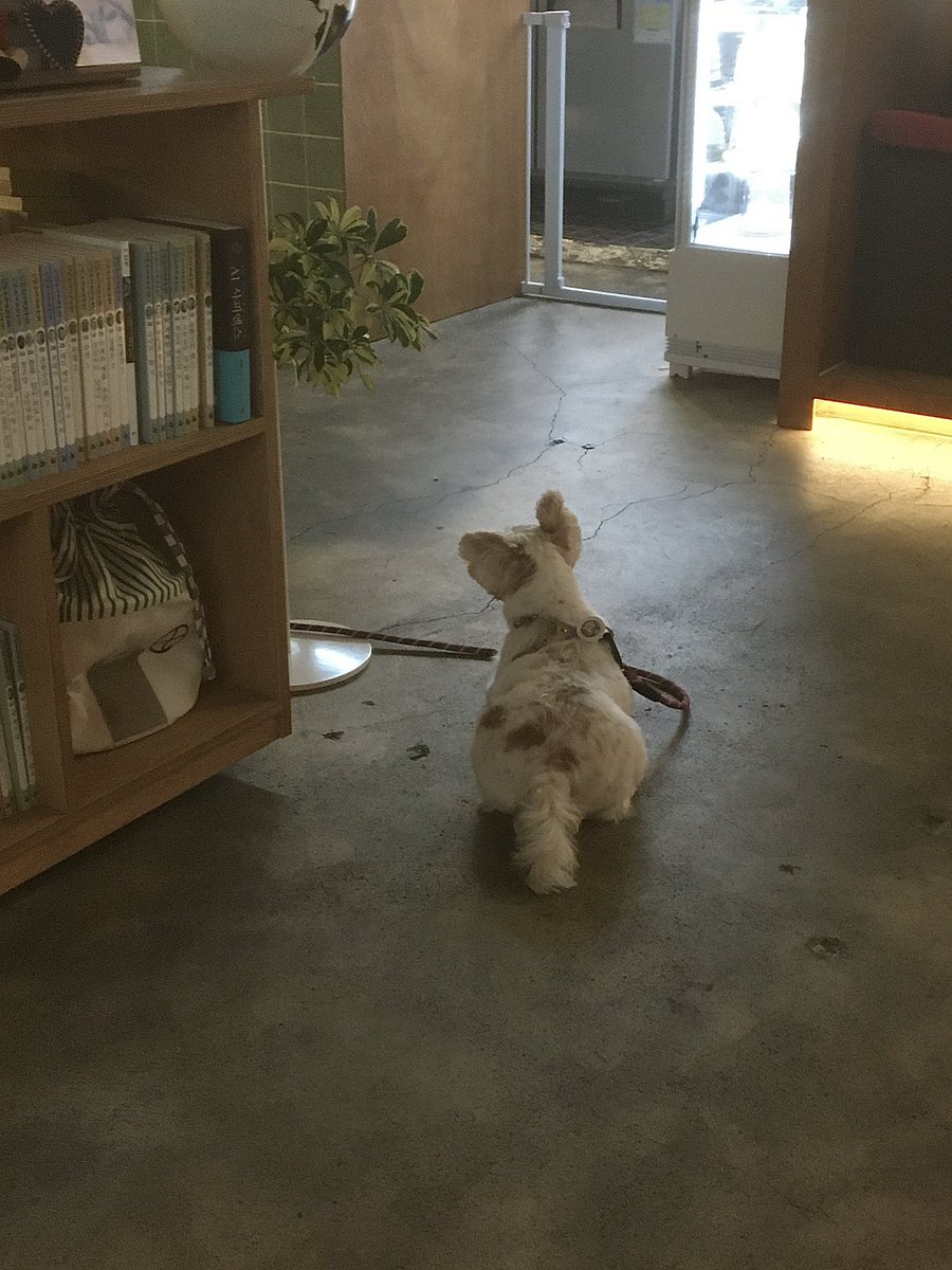 wan1ii_'s tweet photo. 갖고싶던 메지루시를 뽑다 ……..  ~ https://t.co/yAefvy2hmw