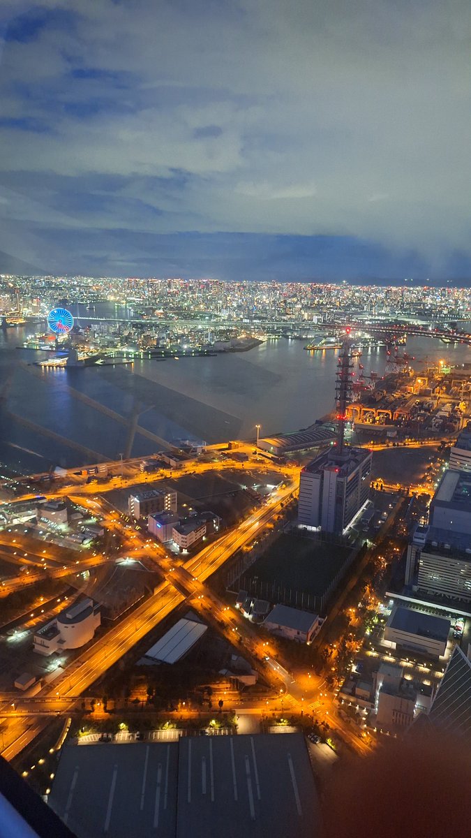 blx_wolf's tweet photo. 綺麗すぎた

#大阪 #夜景 #デートスポット
#japan　#nightview https://t.co/cL0EOotOIH