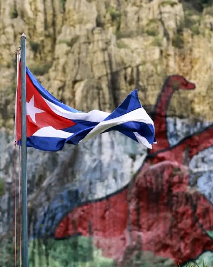 Colina_CTCuba's tweet photo. 🇨🇺¡Nuestros muertos alzando los brazos, la sabrán defender todavía! 

#CubaEstáFirme 
#CubaVencerá https://t.co/lJK7SnbA5m