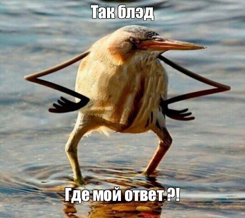 vladimarius's tweet photo. @_vanswan https://t.co/1skkfN6jRH