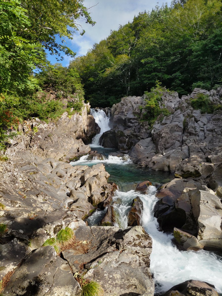 tales11mp's tweet photo. 避暑 https://t.co/USSv6gpQEO
