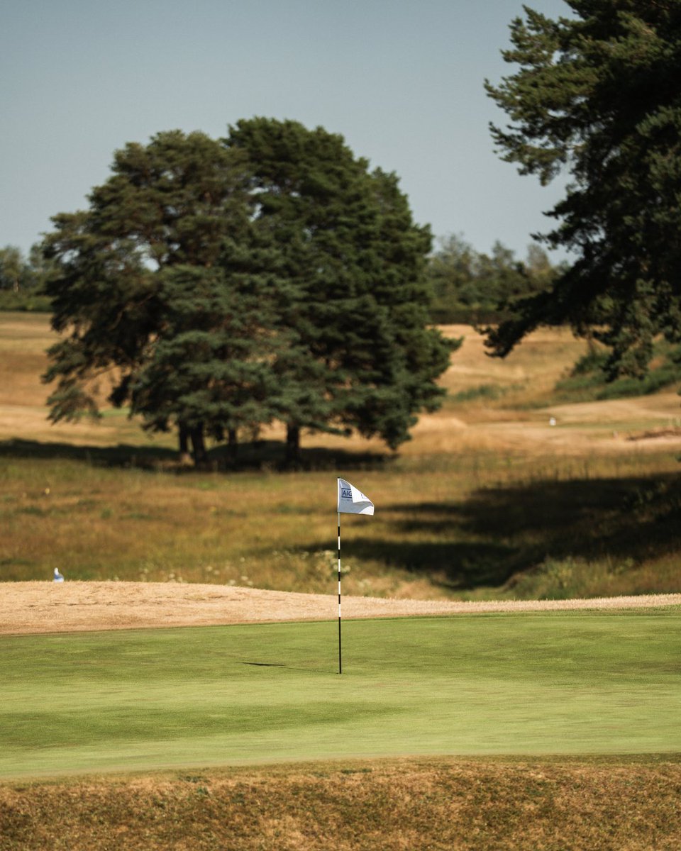 delameregolf's tweet photo. Thanks to the summer sun and limited rainfall over the past few months, our course has been playing true to its heathland nature. Firm and fast. https://t.co/uHxlPzeuQs