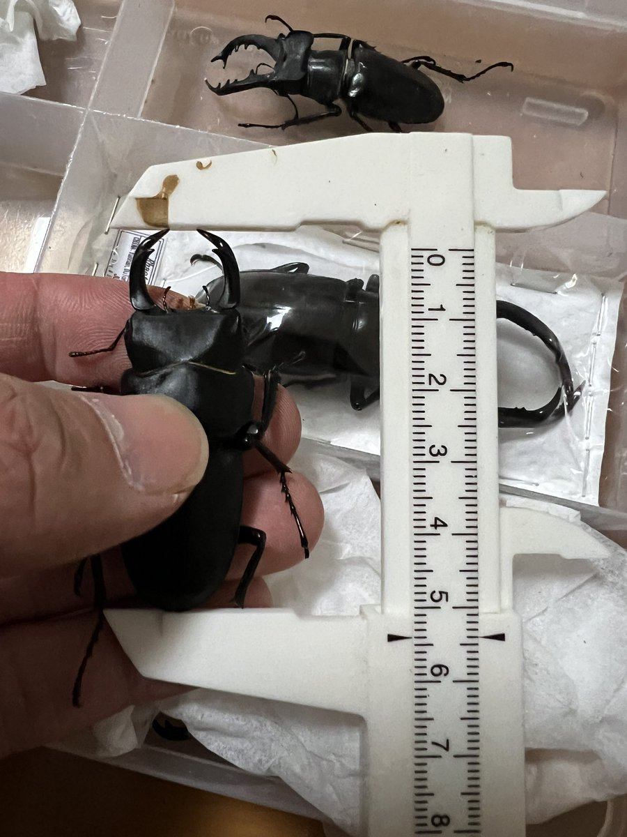 mmm5150a's tweet photo. https://t.co/vXvaV7C1dO