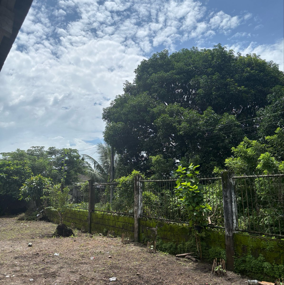 luhchimolalaaaa's tweet photo. iba lalo ang bigat nang marinig ang kwento ng mga katutubo at magsasakang buong tapang pinaglalaban ang kanilang lupang ninuno.

lalo pa habang pinagmamasdan ang ganda ng sitio binyayan na balak lang sirain ng pax silica.

#REJECTPAXSILICA https://t.co/SCRHYRSBDD