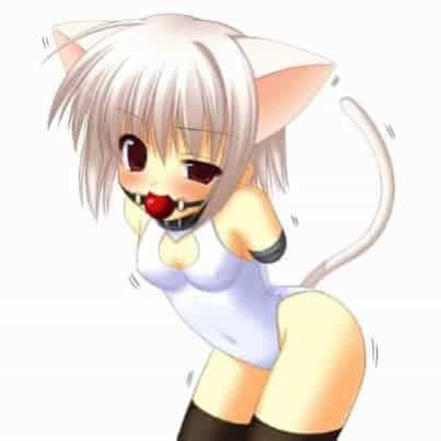 Spaghetmmi's tweet photo. bad kitty https://t.co/pUwaQyYCiX