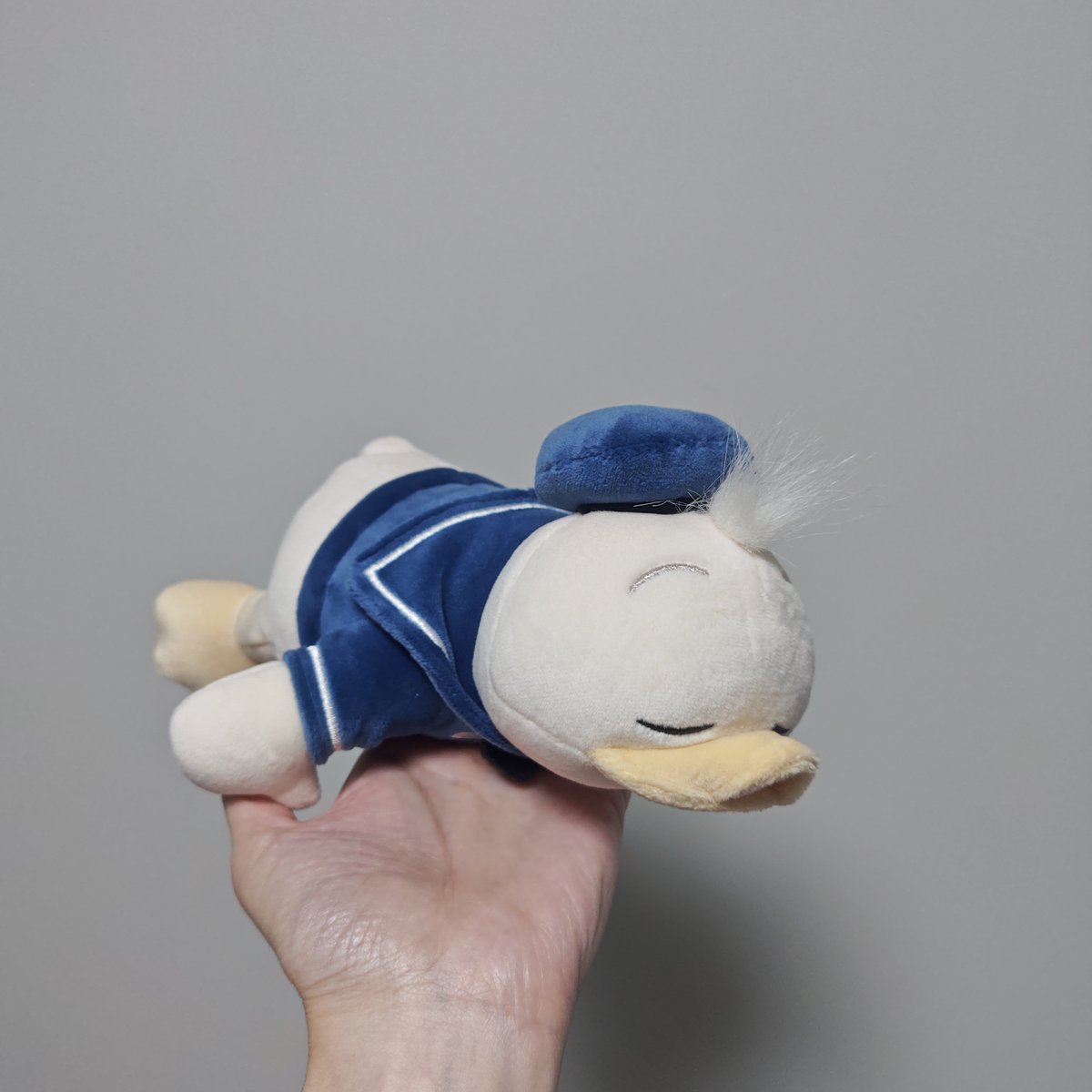 96_to_46's tweet photo. クレーンゲームって、特に欲しくないけどなんとなくやったものは100円で取れるの不思議。 https://t.co/WTFslbWO8u