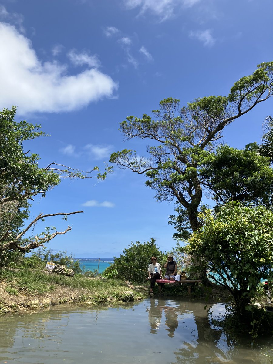 LittleAdvefam's tweet photo. 夏休み「垣花樋川」へ🌿✨

木陰の涼しさと、ひんやり湧水に癒され🩷

一番ハマったのは3歳👦
何度も湧水に触れてはジャンプ😊

地元・沖縄の魅力を再発見🌺

南城市、最高！

#垣花樋川 #南城市 #沖縄 #沖縄子連れ #子連れお出かけ #沖縄観光 #夏休み #自然遊び #親子旅 #LittleAdventureFamilyTravel https://t.co/MaQPPfEEX7