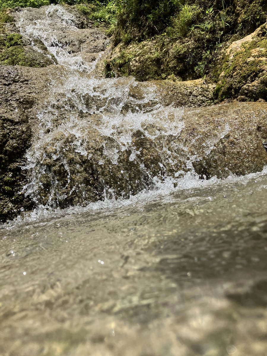 LittleAdvefam's tweet photo. 夏休み「垣花樋川」へ🌿✨

木陰の涼しさと、ひんやり湧水に癒され🩷

一番ハマったのは3歳👦
何度も湧水に触れてはジャンプ😊

地元・沖縄の魅力を再発見🌺

南城市、最高！

#垣花樋川 #南城市 #沖縄 #沖縄子連れ #子連れお出かけ #沖縄観光 #夏休み #自然遊び #親子旅 #LittleAdventureFamilyTravel https://t.co/MaQPPfEEX7