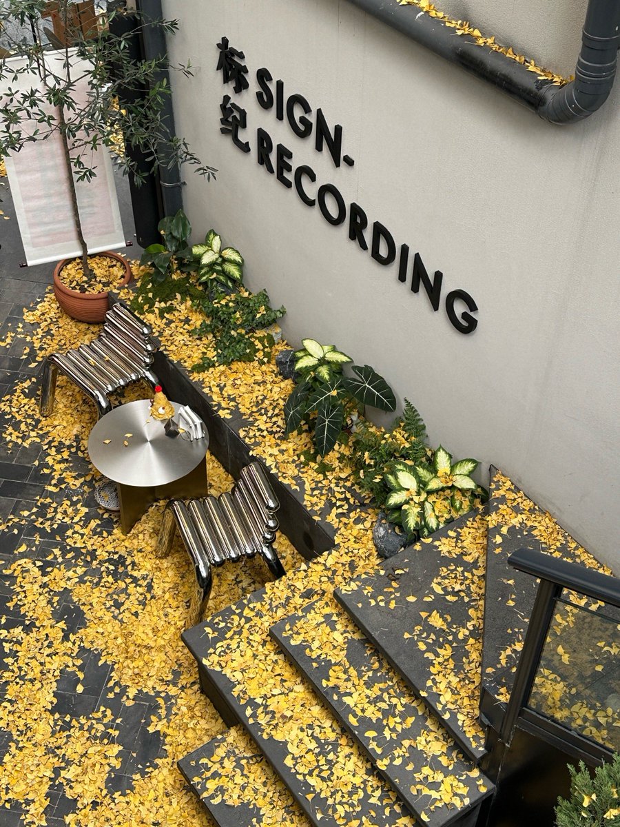 sugoiishopp2's tweet photo. Autumn breeze just hit—coffee in hand, leaves turning gold, perfect cozy vibes. https://t.co/kxIWC4IPt8