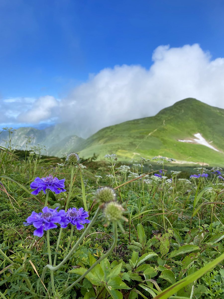 kako__A's tweet photo. 大朝日岳　1870m 日本百名山　
\( ˆoˆ )/

ガス霧雨の中、古寺鉱泉登山口〜古寺山〜小朝日岳〜大朝日岳
長いしアップダウンきついし大変だったけど、上に行ったら雲がどんどん晴れて雄大な山の姿と綺麗な稜線が姿を現し感動！
これを見るために登ってよかった♪

2026.8.15 https://t.co/4H72Ht0DEb