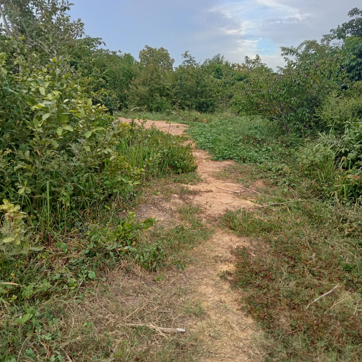 roth0r's tweet photo. មាននាក់ស្គាល់អត់ https://t.co/8DG7G1ikE9