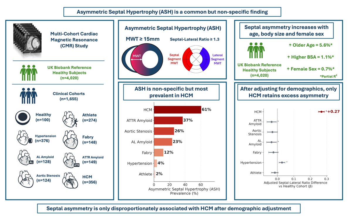 HunainShiwani's tweet photo. Glad to see our paper published in the European Heart Journal: Cardiovascular Imaging @ESC_Journals!

In 5,675 Cardiac MRI studies, asymmetrical septal hypertrophy (ASH) was present in 61% of hypertrophic cardiomyopathy (HCM) patients, but also 37% of ATTR amyloidosis, 26% of aortic stenosis and 23% of AL amyloidosis.

After accounting for age, sex & body size, however, excess asymmetry remained uniquely associated with HCM (ΔSLR +0.27).

https://t.co/2xiIv1ncWk