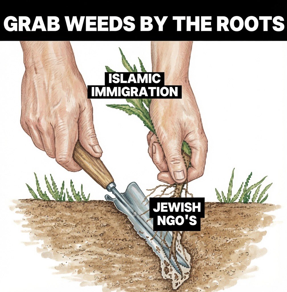 KinglishMr's tweet photo. @TheForestGnome @RealCandaceO https://t.co/nRrsdCYUSm