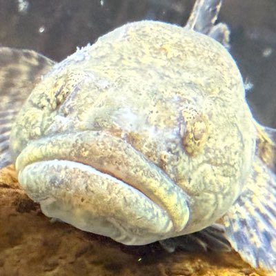6qmCmt's tweet photo. #新しいプロフィール画像 https://t.co/lMqWxaEWnQ