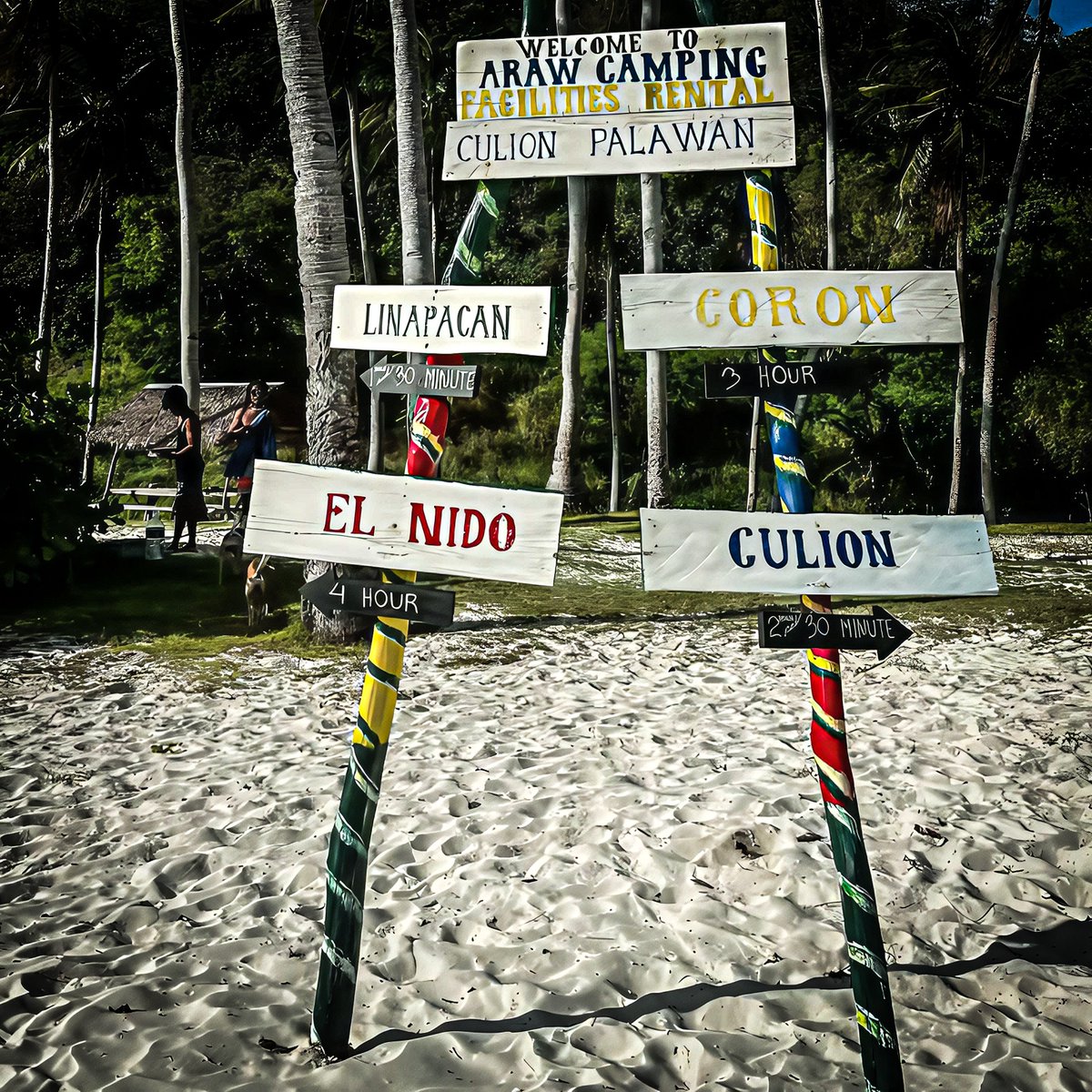 solstiies's tweet photo. ƤALAWAN ɱemories 𓆉 Օcean drift⌟
Ѕalt ⊂⊃ Ɗeep dive :: Ϲlear horizon. '🐚 https://t.co/YwR17rVsgx