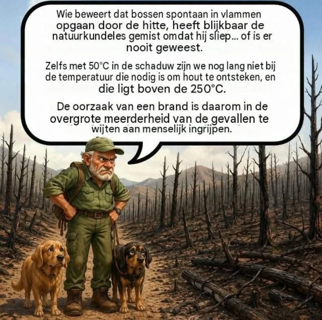 HennieLem39986's tweet photo. @Frankvdkboz @SanderSassen @MinPres Dan ga je de bosbranden toch even anders bekijken 
Of niet dan https://t.co/WRdiVlcVrS