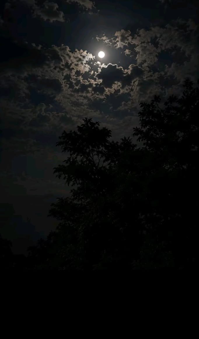 Moon4pics's tweet photo. https://t.co/uynghACEMp