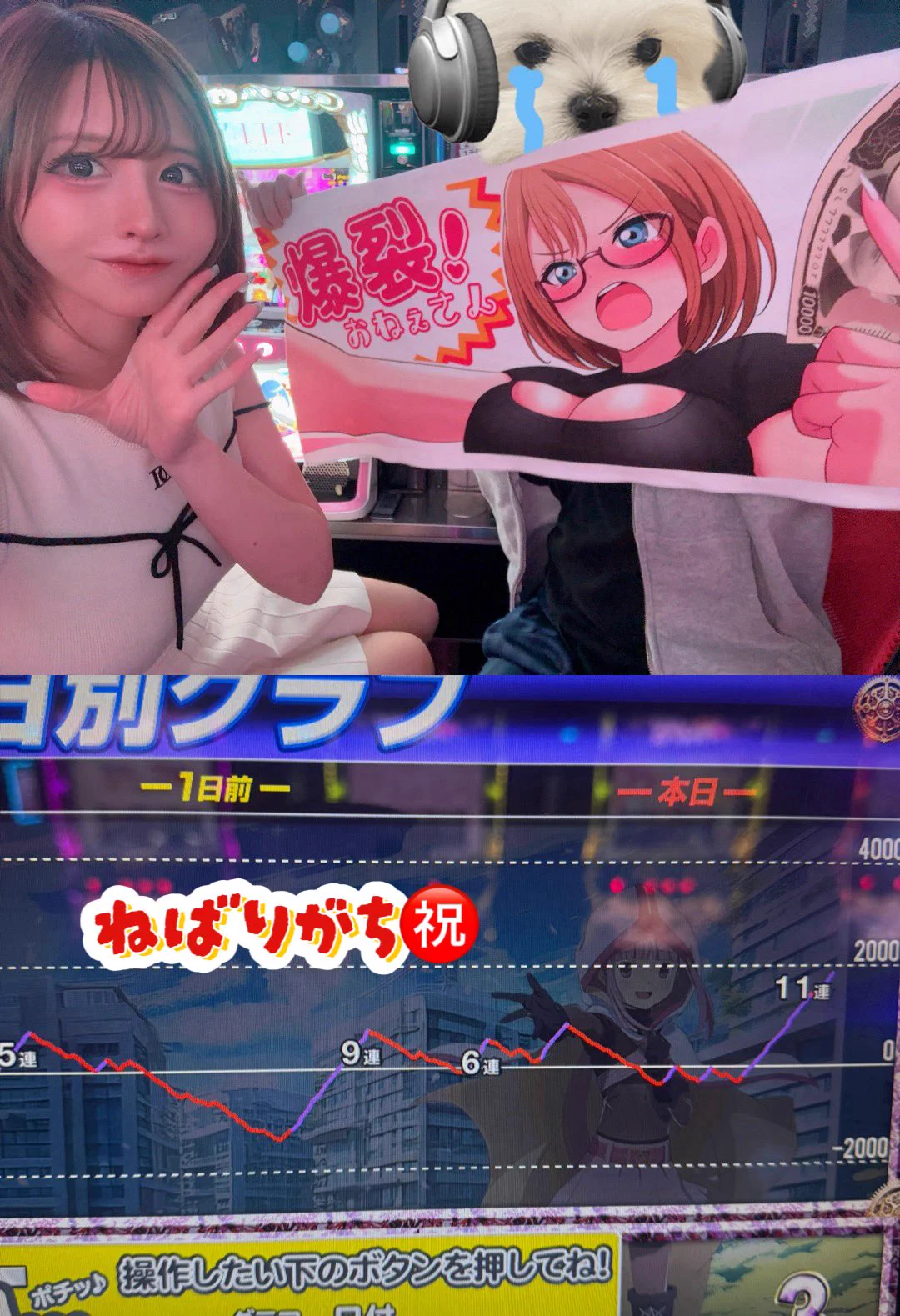 ほしまみ🐨🌟 on X: 