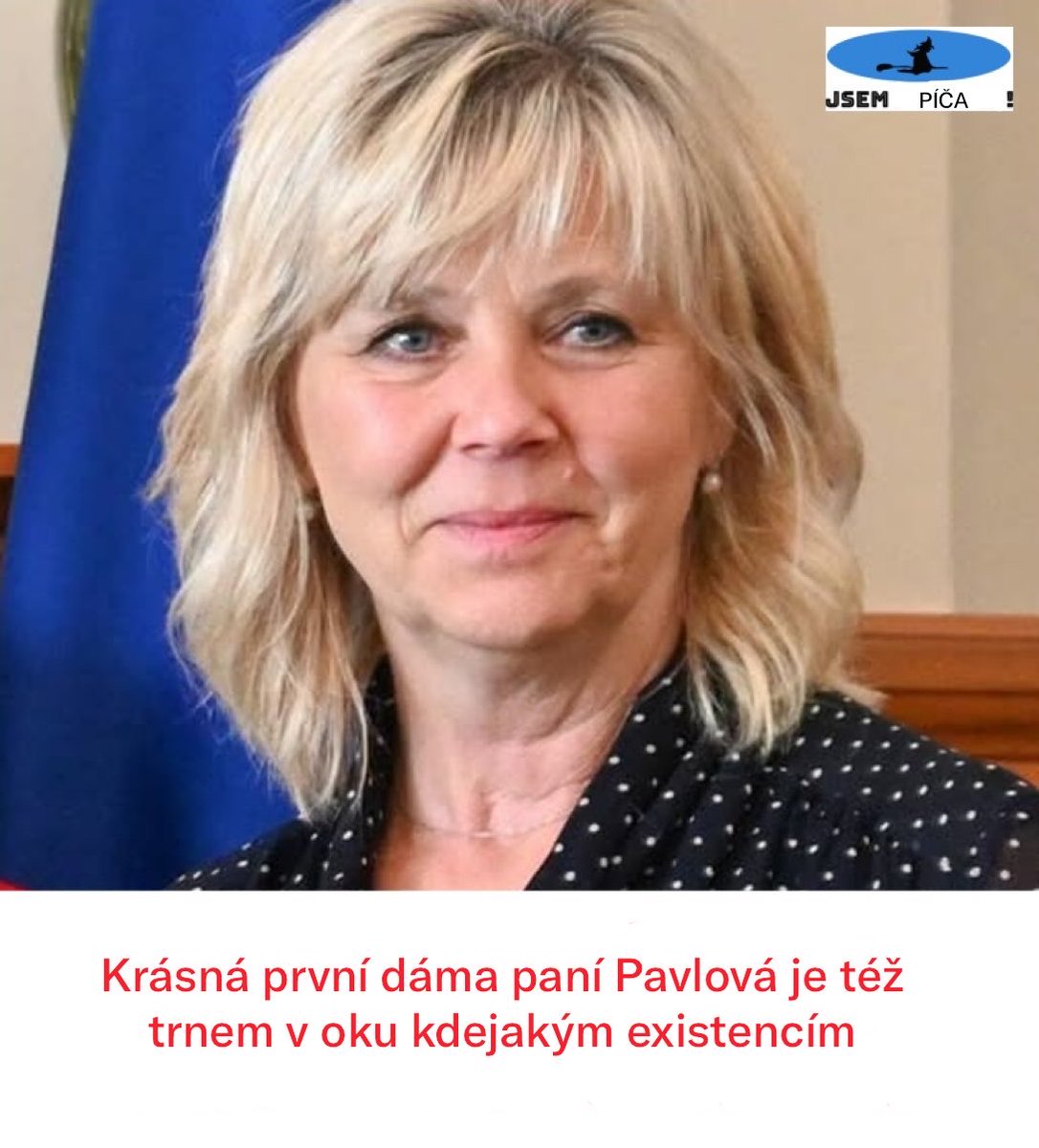 SkritekTobi's tweet photo. Chudák trpí jen tím, že je ženou prezidenta, který porazil senilního Slováka v prezidentských volbách … nikomu nic neudělala … další smutný příběh v naší zemi …. https://t.co/1KwbIGJEeE