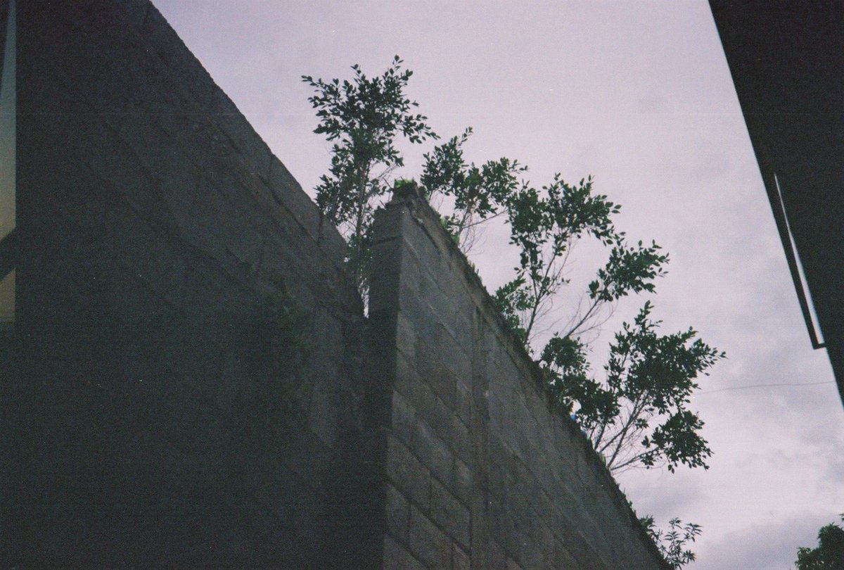 Fobos_9's tweet photo. Wall

#analogphotography #photography #35mmfilm https://t.co/TN0G7Q3NzY