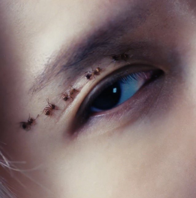 6v6zone's tweet photo. taemin said let me show you what a real concept looks like https://t.co/bqKCFksl8N