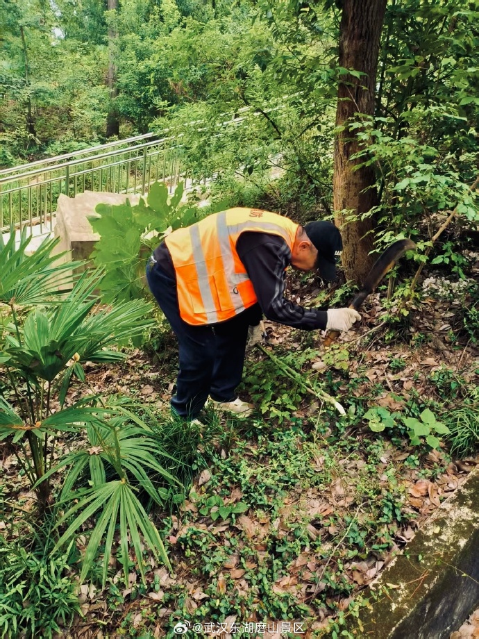DeviRachmanda's tweet photo. Join our community spring cleanup this Sat 9am at Central Park! Bring gloves u0026 snacks, make our city greener together https://t.co/ogKQwZ2n1I