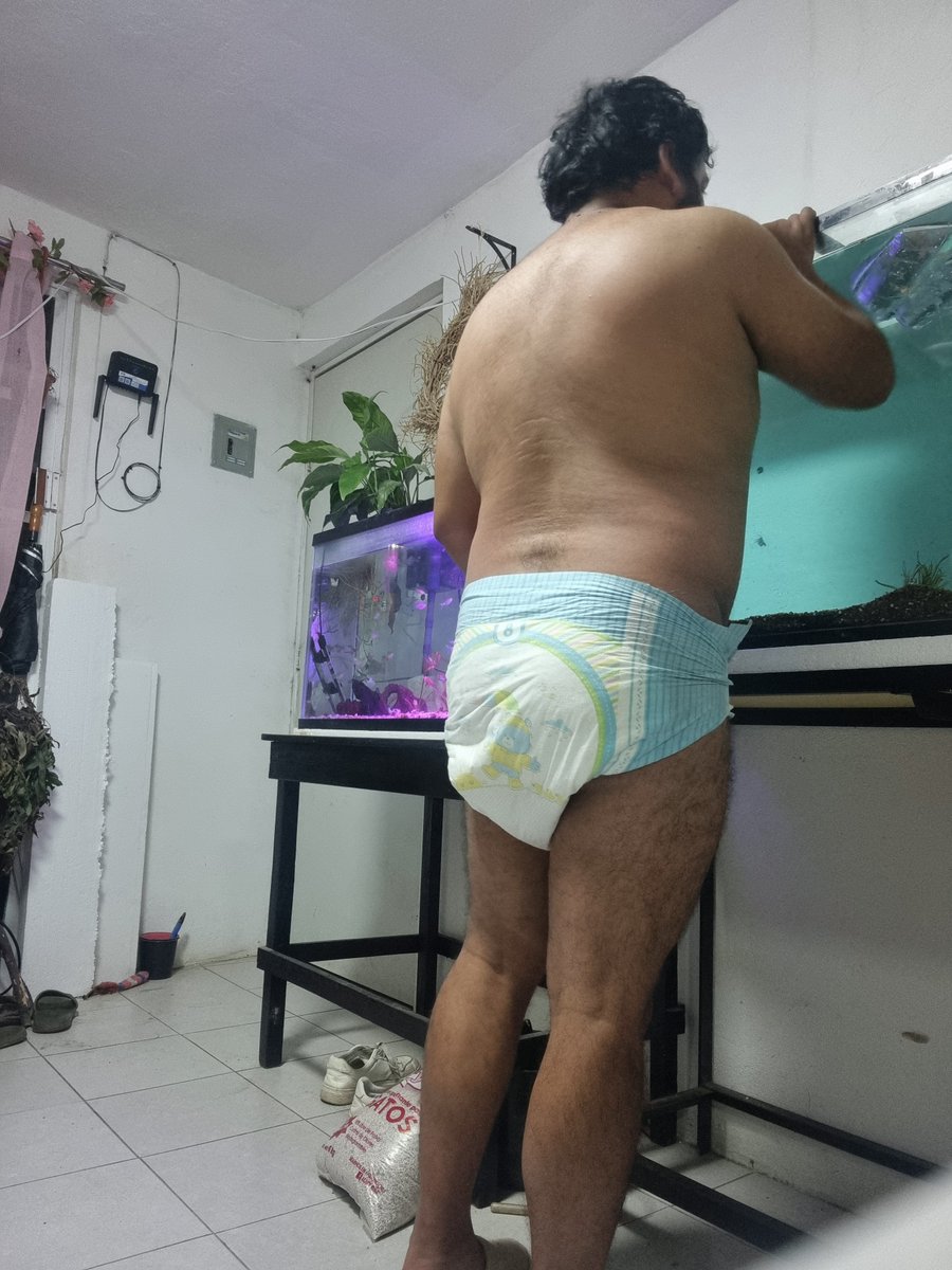 Davediapers19's tweet photo. Acuario nuevo hay que decorarlo 😁
Me fascinan los acuarios este es de 300 litros 

#abdl #diapered247
#diaperboy #diaperedboys #diaperboys https://t.co/6S8jirMCe7