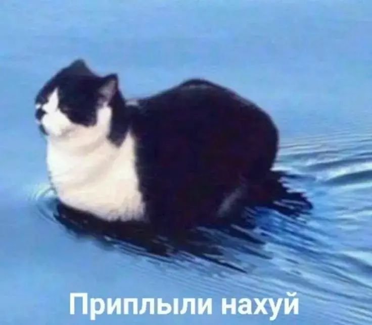 ray_hansler's tweet photo. @rshmnprsphn https://t.co/SCaRzJJBxz