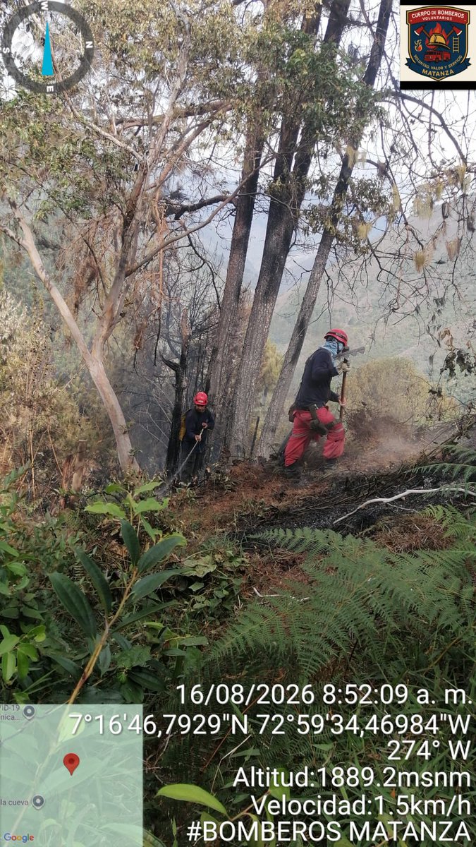 ConRegion's tweet photo. INCENDIO SUBTERRÁNEO SIGUE ATACANDO A CHARTA‼️🔥👩‍🚒
Una capa gruesa de capote ha sido el combustible para que el incendio que se creía extinguido, hace unas semanas, siga presentando brotes. Campesinos de Charta junto a su alcalde y miembros de los bomberos voluntarios de Matanza  lo están enfrentando. Se espera que mañana en una jornada masiva se logre dar por terminado esta pesadilla que tanto daño ha causado.
#SOS #IncendioForestal #IncendioSubterráneo #SolidaridadEjemplar #RinconFloridoDeSantander
@Alcaldiacharta @bomberosmatanza @OGRDSantander @UNGRD @GobdeSantander