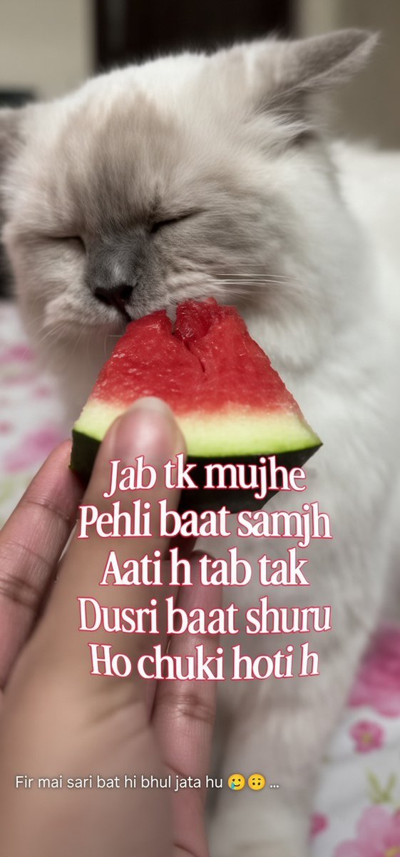 kingranarajput's tweet photo. Jab tk mujhe
Pehli baat samjh 
Aati h tab tak
Dusri baat shuru 
Ho chuki hoti h

Fir mai sari bat hi bhul jata hu😁😂🤣😂 https://t.co/WIHtQbh0k3